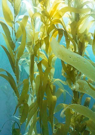 /-/media/project/loreal/brand-sites/lrp/emea/dach/ch/simple-page/landing-page/marine-life/anthelios-marine-life-landing-page/larocheposay-anthelios-marine-life-landing-page-fresh-water.jpg?sc_lang=de-de