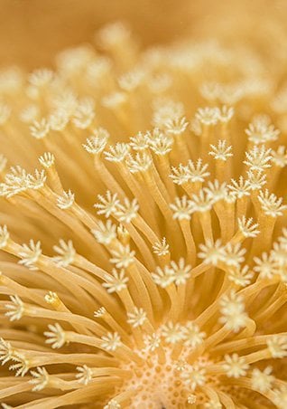 /-/media/project/loreal/brand-sites/lrp/emea/dach/ch/simple-page/landing-page/marine-life/anthelios-marine-life-landing-page/larocheposay-anthelios-marine-life-landing-page-salt-water.jpg?sc_lang=de-de