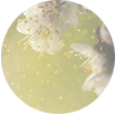 laroche posay MyskinTrack Pollen