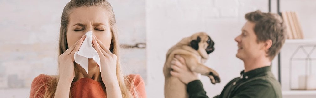 Tierhaarallergie: Frau putzt sich die Nase, während ein Mann einen Mops hochhält