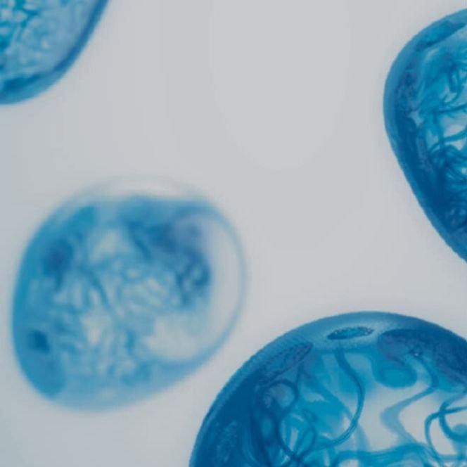 Abstrakte Darstellung von klaren, bläulichen Blasen, symbolisierend den Inhaltsstoff Aqua Posae und seine erfrischende, hydratisierende Wirkung