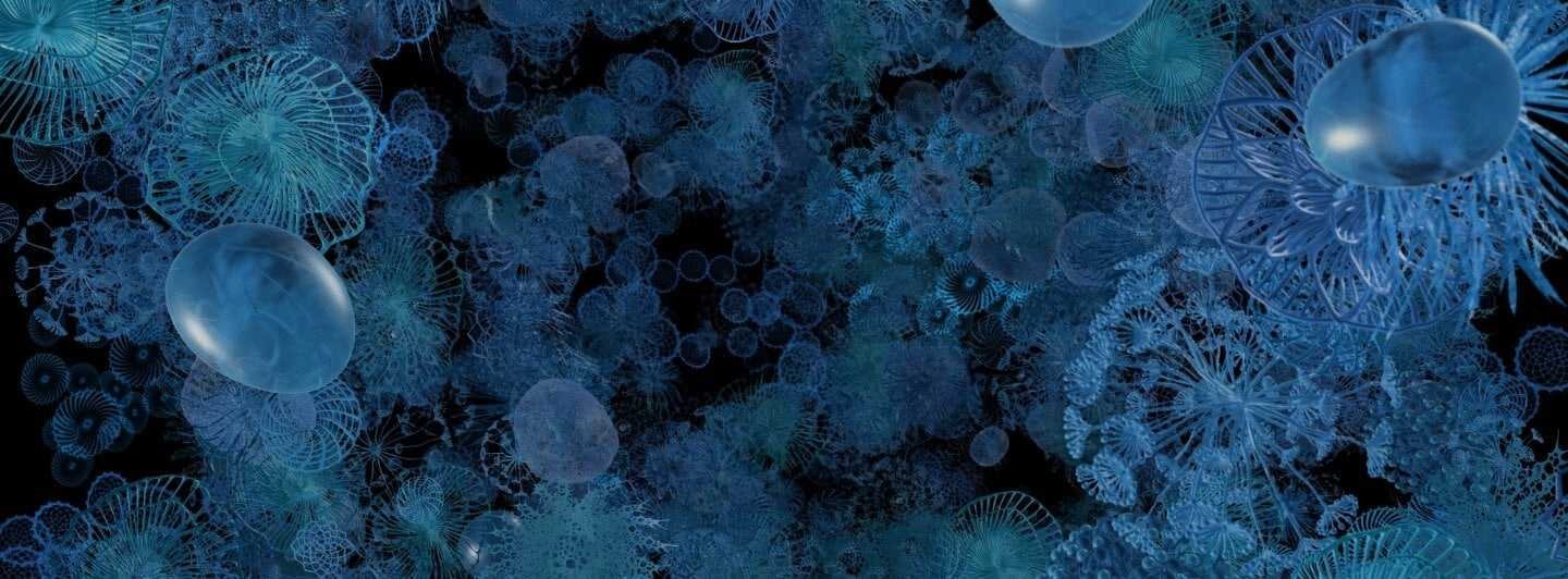 bg_microbiome_v2