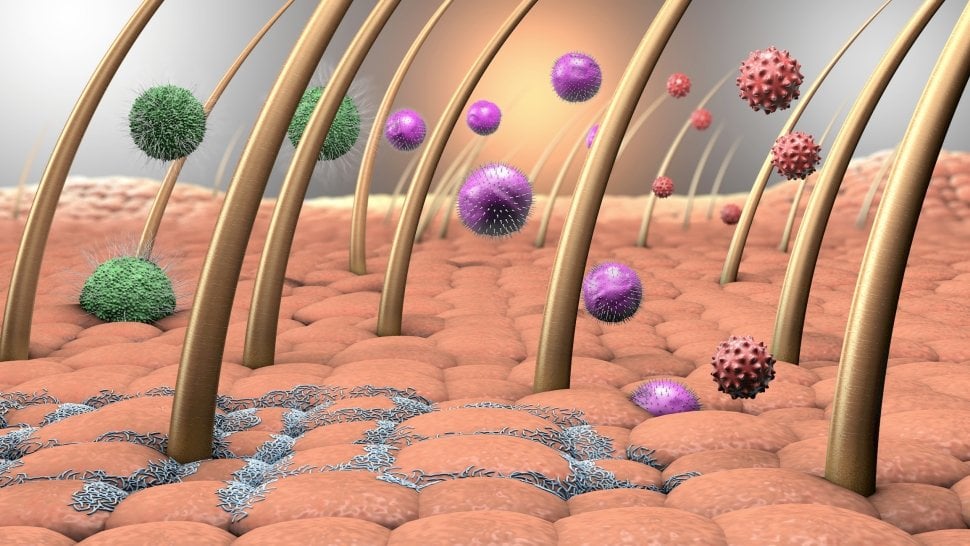 3D-Darstellung einer Hautoberfläche mit Haaren, umgeben von bunten Mikroorganismen wie Bakterien und Viren, die das Mikrobiom darstellen