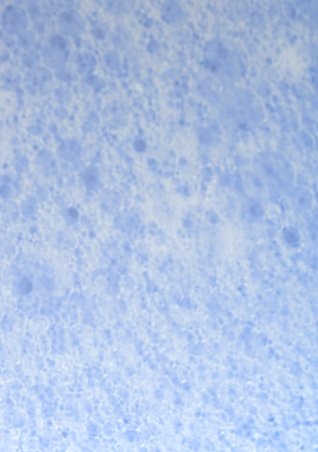 https://www.larocheposay.de/-/media/project/loreal/brand-sites/lrp/emea/de/oncology/during-hairloss/lrp-oncology-2021-sitecore-during-during_hair_loss-flipcard6.jpg